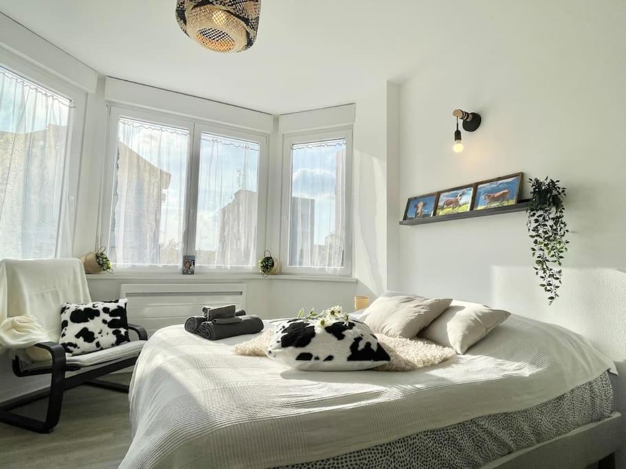 La Mascotte Apartment Saint-Louis  Exterior photo