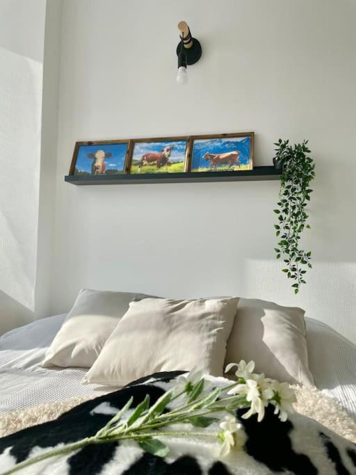 La Mascotte Apartment Saint-Louis  Exterior photo